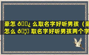 豪怎 🌿 么取名字好听男孩（豪怎么 🦍 取名字好听男孩两个字）